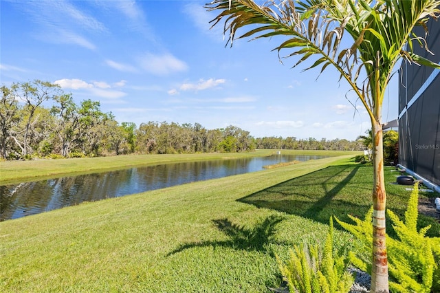 13019 Wildflower Meadow Dr, Riverview, FL 33579 - photo 70