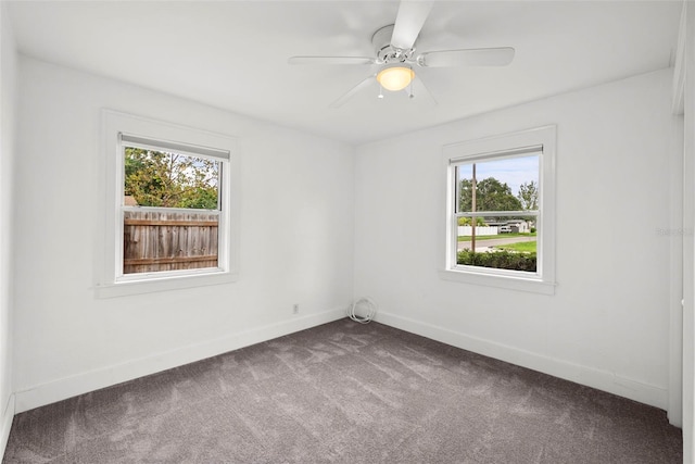 549 39th Ave NE, Saint Petersburg, FL 33703 - photo 27