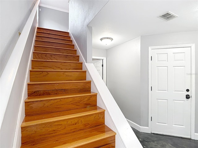 3111 W De Leon St Unit 2, Tampa, FL 33609 - stairway with baseboards, concrete flooring, and crown molding