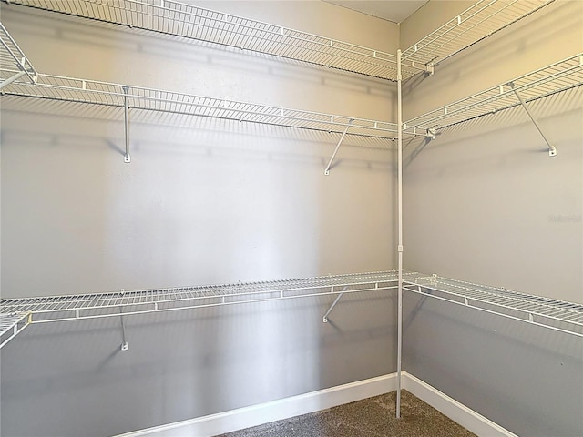 3111 W De Leon St Unit 2, Tampa, FL 33609 - view of walk in closet