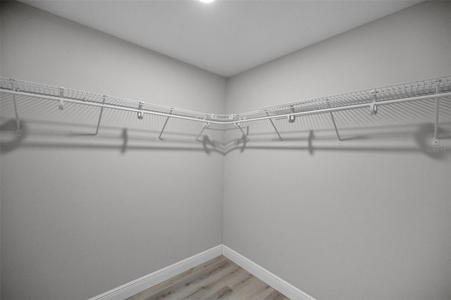 2307 N 47th St, Tampa, FL 33605 - walk in closet featuring light wood-type flooring