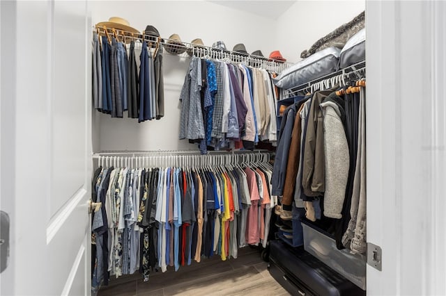 16898 Balance Cv, Land O Lakes, FL 34638 - walk in closet featuring wood finished floors
