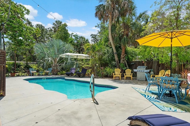 111 29th St W, Bradenton, FL 34205 - view of swimming pool featuring a patio, a fenced backyard, and a grill