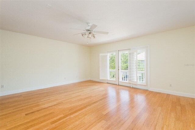 2876 Bayshore Trails Dr, Tampa, FL 33611 - photo 15