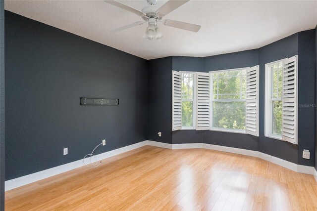 2876 Bayshore Trails Dr, Tampa, FL 33611 - photo 24
