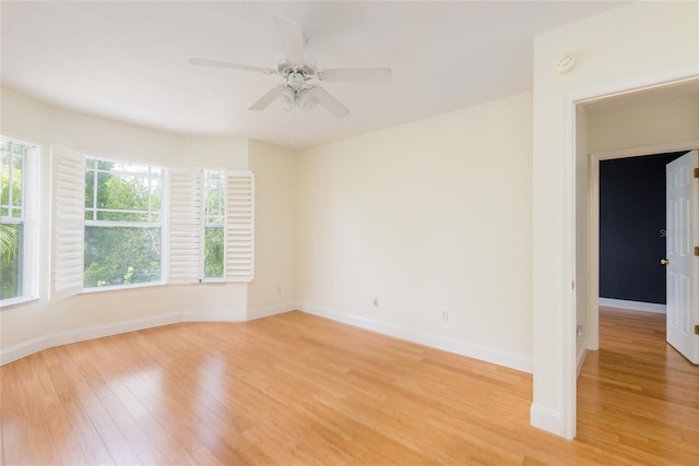 2876 Bayshore Trails Dr, Tampa, FL 33611 - photo 26