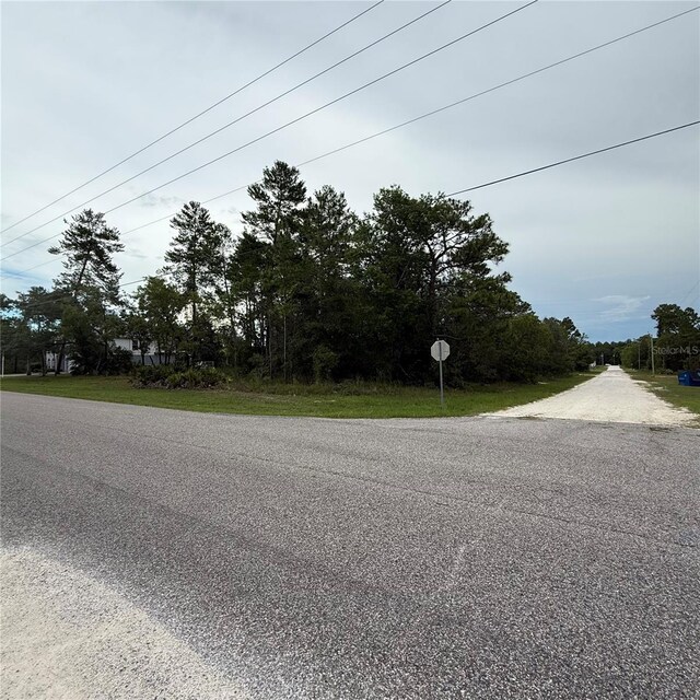 11200 Marvelwood Rd, Weeki Wachee, FL 34614 - photo 2