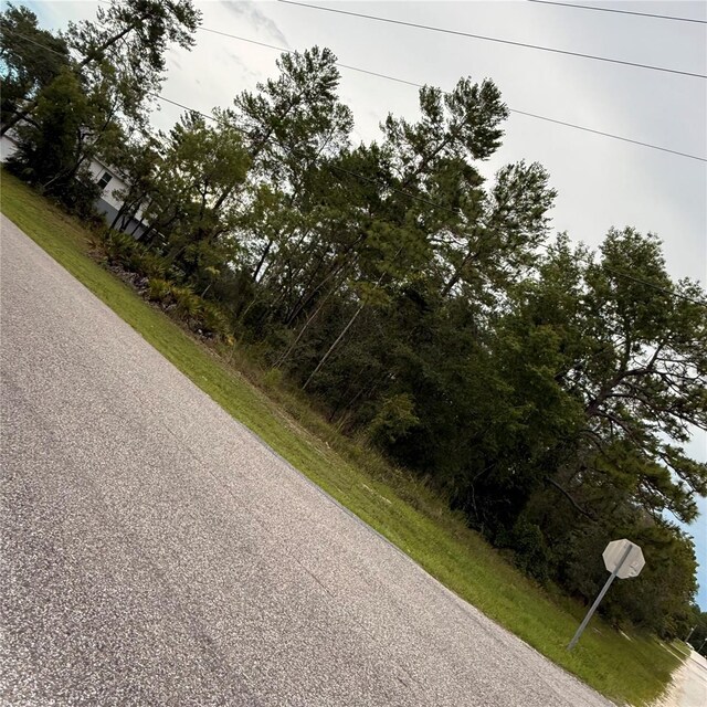 11200 Marvelwood Rd, Weeki Wachee, FL 34614 - photo 3