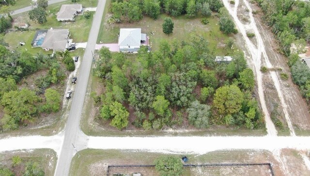 11200 Marvelwood Rd, Weeki Wachee, FL 34614 - photo 4