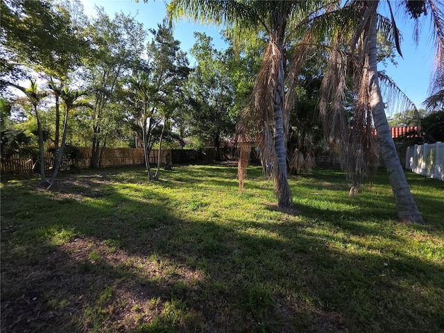 2045 Summit Dr, Dunedin, FL 34698 - view of yard