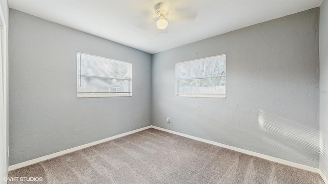 6901 10th St N, Saint Petersburg, FL 33702 - photo 17