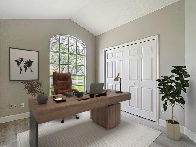 5809 Silas Creek Ln, Wesley Chapel, FL 33545 - home office featuring baseboards and lofted ceiling