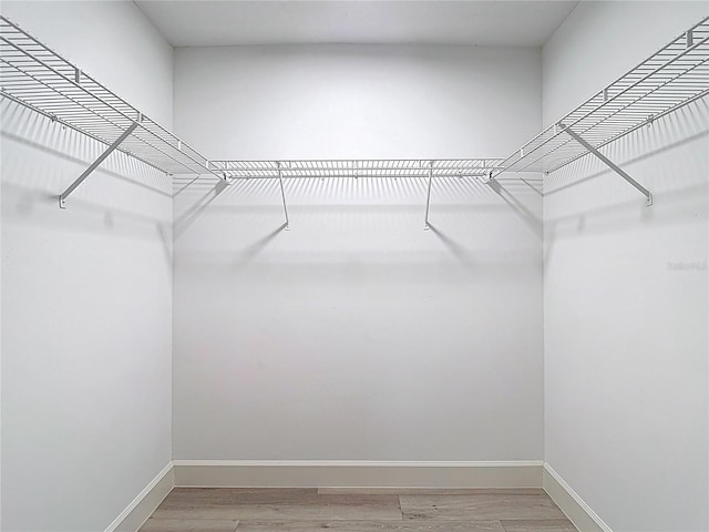 5809 Silas Creek Ln, Wesley Chapel, FL 33545 - spacious closet featuring light wood-type flooring