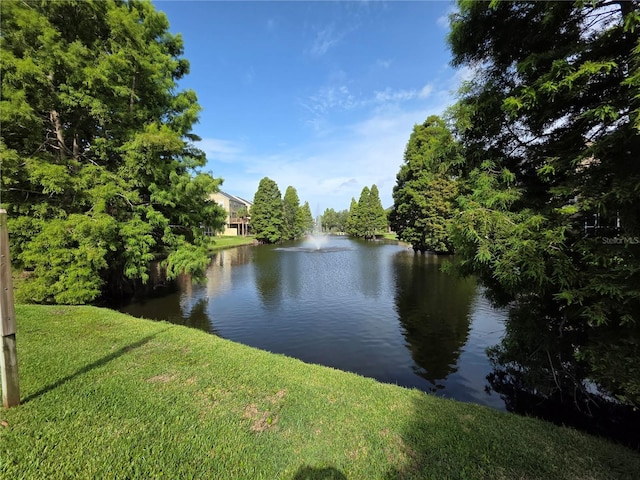 3053 Pointeview Dr, Tampa, FL 33611 - photo 38