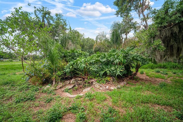 1217 W Terrace Dr, Plant City, FL 33563 - photo 34