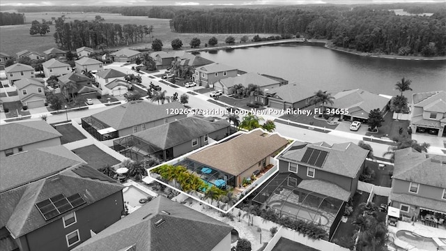 12026 Crestridge Loop, New Port Richey, FL 34655 - aerial view of residential area with property boundaries highlighted, a large body of water, and a forest