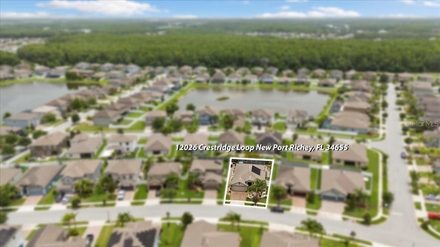 12026 Crestridge Loop, New Port Richey, FL 34655 - aerial view of residential area featuring a large body of water and property parcel outlined