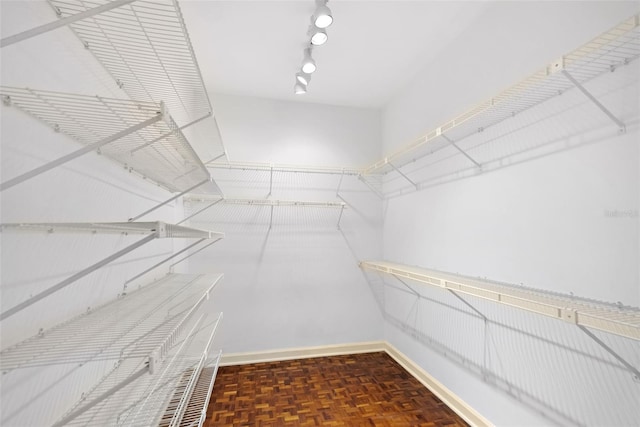 15612 Howell Park Ln, Tampa, FL 33625 - view of walk in closet
