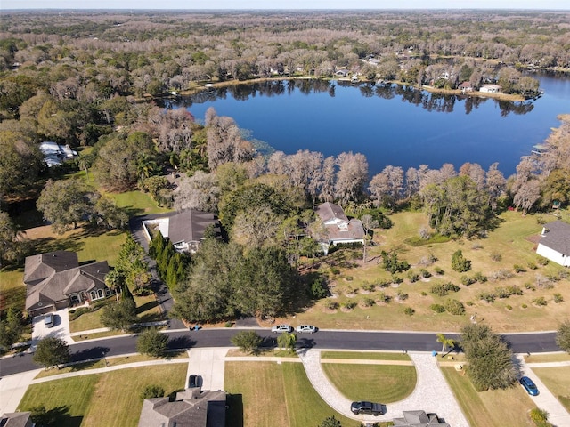 15612 Howell Park Ln, Tampa, FL 33625 - aerial overview of property's location with a large body of water and a heavily wooded area