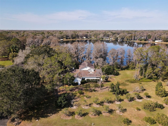 15612 Howell Park Ln, Tampa, FL 33625 - view from above of property with a large body of water and a forest