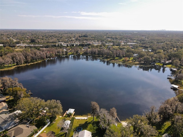 15612 Howell Park Ln, Tampa, FL 33625 - aerial view of property and surrounding area with a large body of water and a heavily wooded area