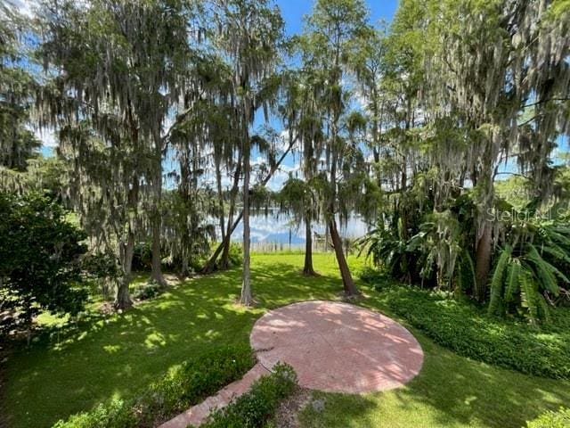 15612 Howell Park Ln, Tampa, FL 33625 - surrounding community with a yard