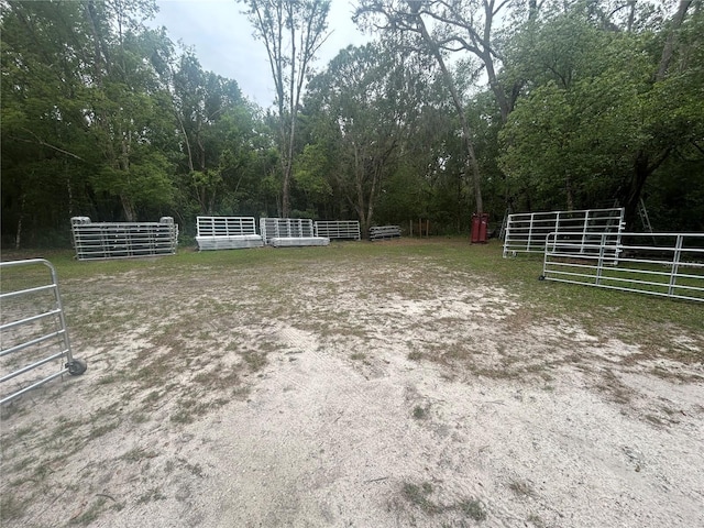 18133 US Highway 41, Spring Hill, FL 34610 - view of yard with an enclosed horse arena, a forest view, and an exterior structure