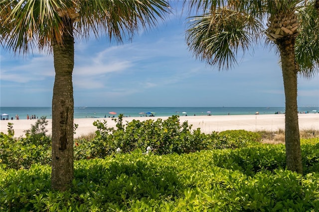 1380 Gulf Blvd Unit 805, Clearwater, FL 33767 - photo 44