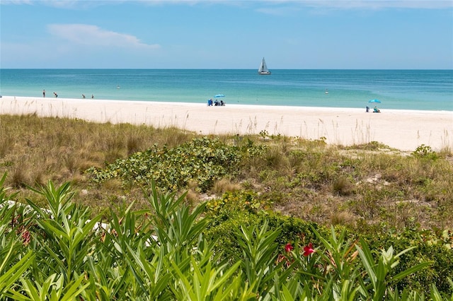 1380 Gulf Blvd Unit 805, Clearwater, FL 33767 - photo 46