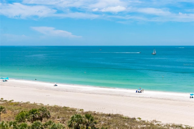1380 Gulf Blvd Unit 805, Clearwater, FL 33767 - photo 48
