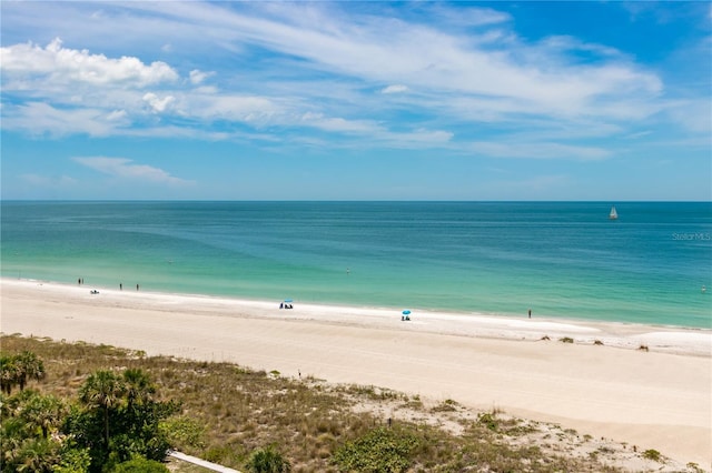 1380 Gulf Blvd Unit 805, Clearwater, FL 33767 - photo 50