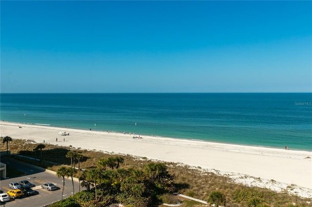 1380 Gulf Blvd Unit 805, Clearwater, FL 33767 - photo 53