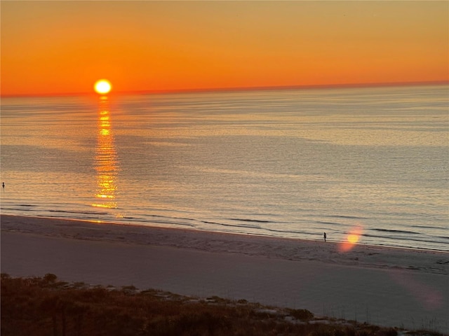 1380 Gulf Blvd Unit 805, Clearwater, FL 33767 - photo 54