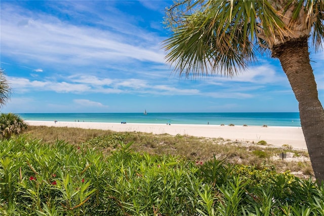 1380 Gulf Blvd Unit 805, Clearwater, FL 33767 - photo 56