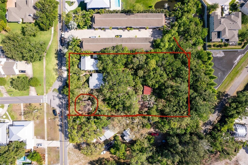 260 Orange St, Palm Harbor, FL 34683 - photo 2