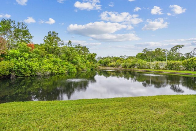 1801 E Lake Rd Unit 20G, Palm Harbor, FL 34685 - photo 46