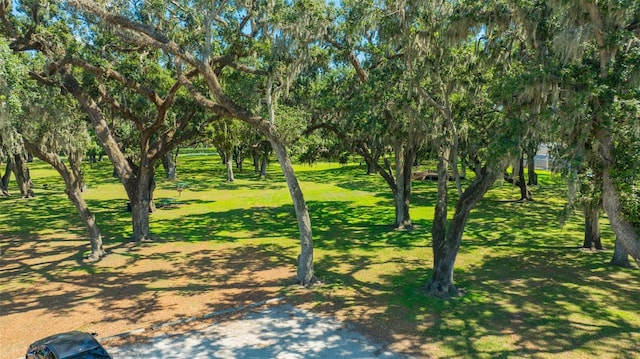 2847 Mossy Timber Trl, Valrico, FL 33596 - photo 47