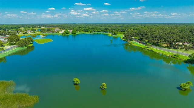 2847 Mossy Timber Trl, Valrico, FL 33596 - photo 48