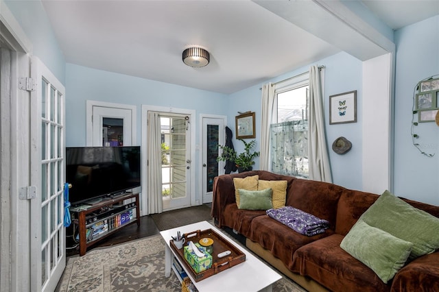 824 31st Ave N, Saint Petersburg, FL 33704 - living room featuring healthy amount of natural light, wood finished floors, and french doors