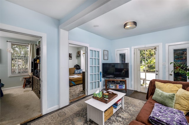 824 31st Ave N, Saint Petersburg, FL 33704 - living area featuring healthy amount of natural light, baseboards, and dark colored carpet