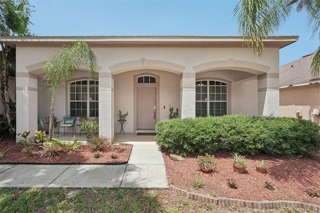 10905 Wildcat Dr, Riverview, FL 33579 - photo 2