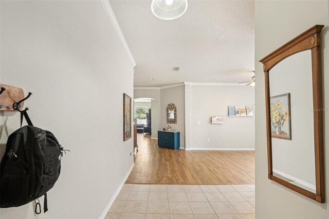 10905 Wildcat Dr, Riverview, FL 33579 - photo 3