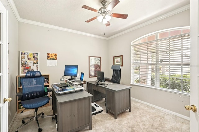 10905 Wildcat Dr, Riverview, FL 33579 - photo 11