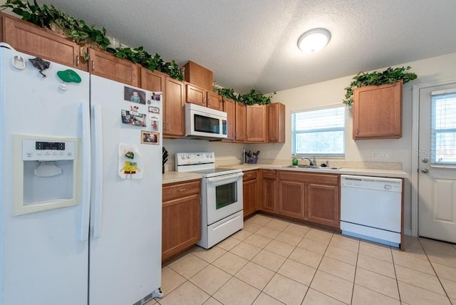3509 King George Ln, Seffner, FL 33584 - photo 41