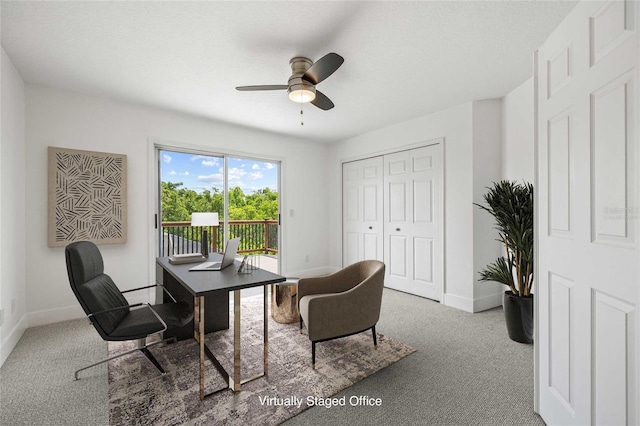1191 Darlington Oak Dr NE, Saint Petersburg, FL 33703 - photo 27