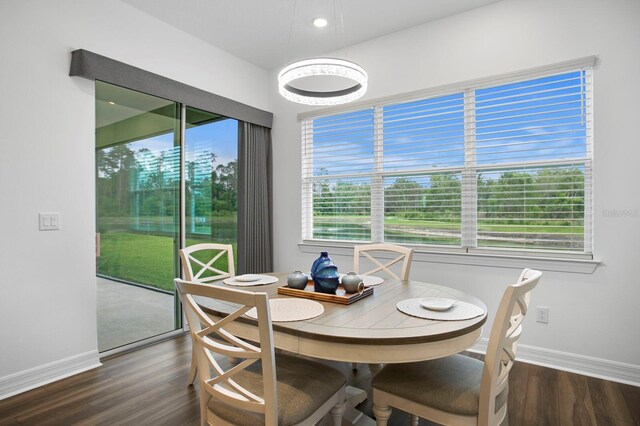 3559 Maple Bay Ln, Land O Lakes, FL 34638 - dining space featuring baseboards and wood finished floors