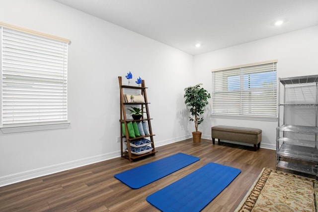 3559 Maple Bay Ln, Land O Lakes, FL 34638 - workout room featuring wood finished floors and recessed lighting