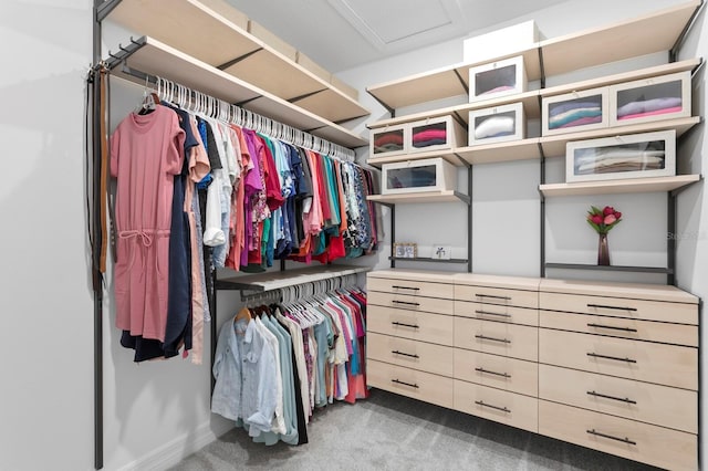 3559 Maple Bay Ln, Land O Lakes, FL 34638 - spacious closet featuring carpet flooring