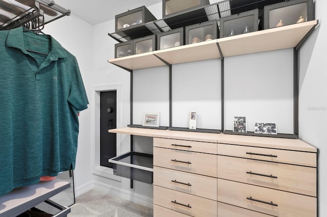 3559 Maple Bay Ln, Land O Lakes, FL 34638 - view of spacious closet