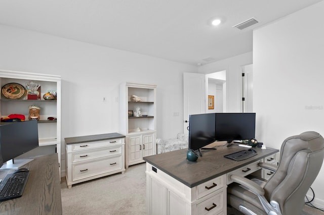 3559 Maple Bay Ln, Land O Lakes, FL 34638 - office area featuring light carpet